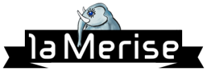 logo_Merise